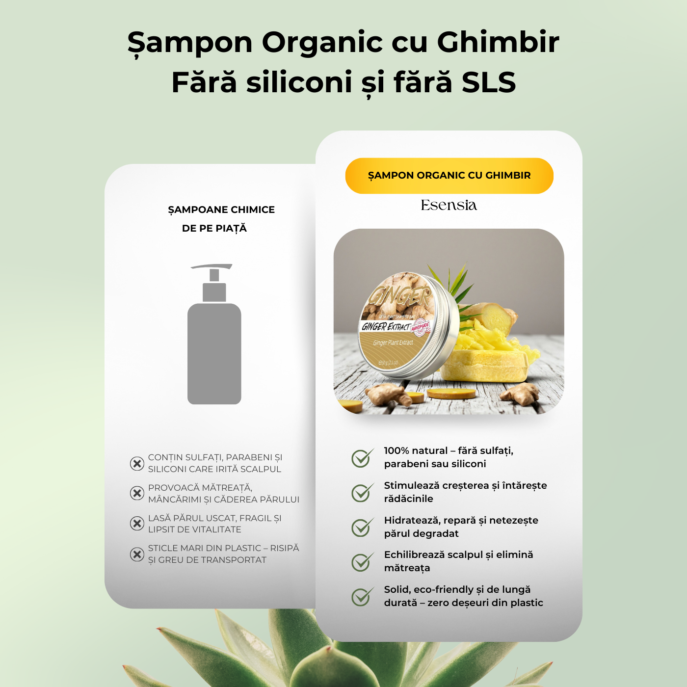 Sampon Organic cu Ghimbir