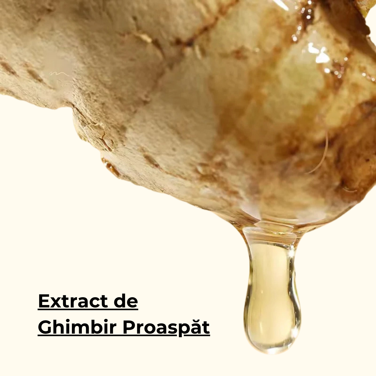 Sampon Organic cu Ghimbir