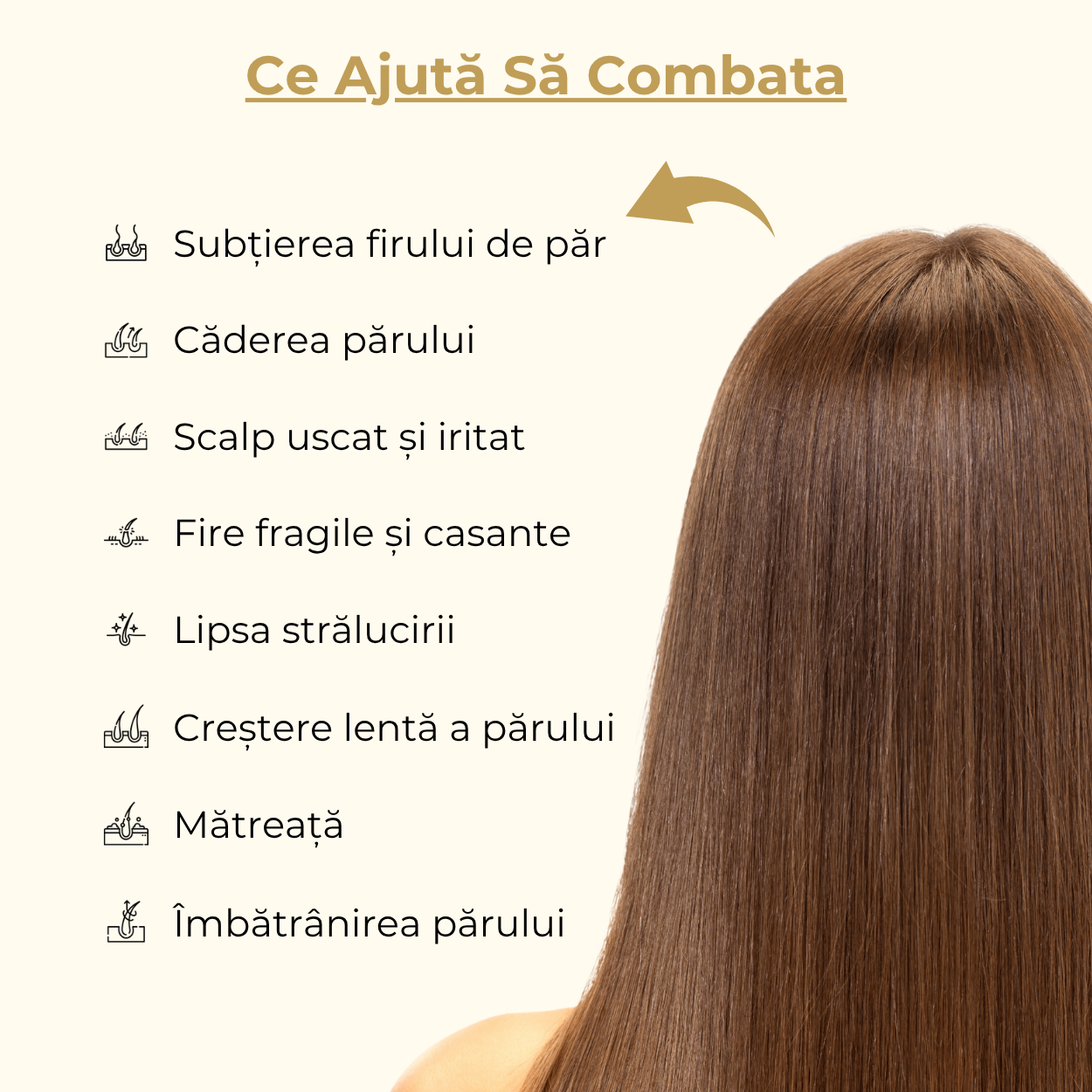 Sampon Organic cu Ghimbir