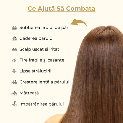 Sampon Organic cu Ghimbir