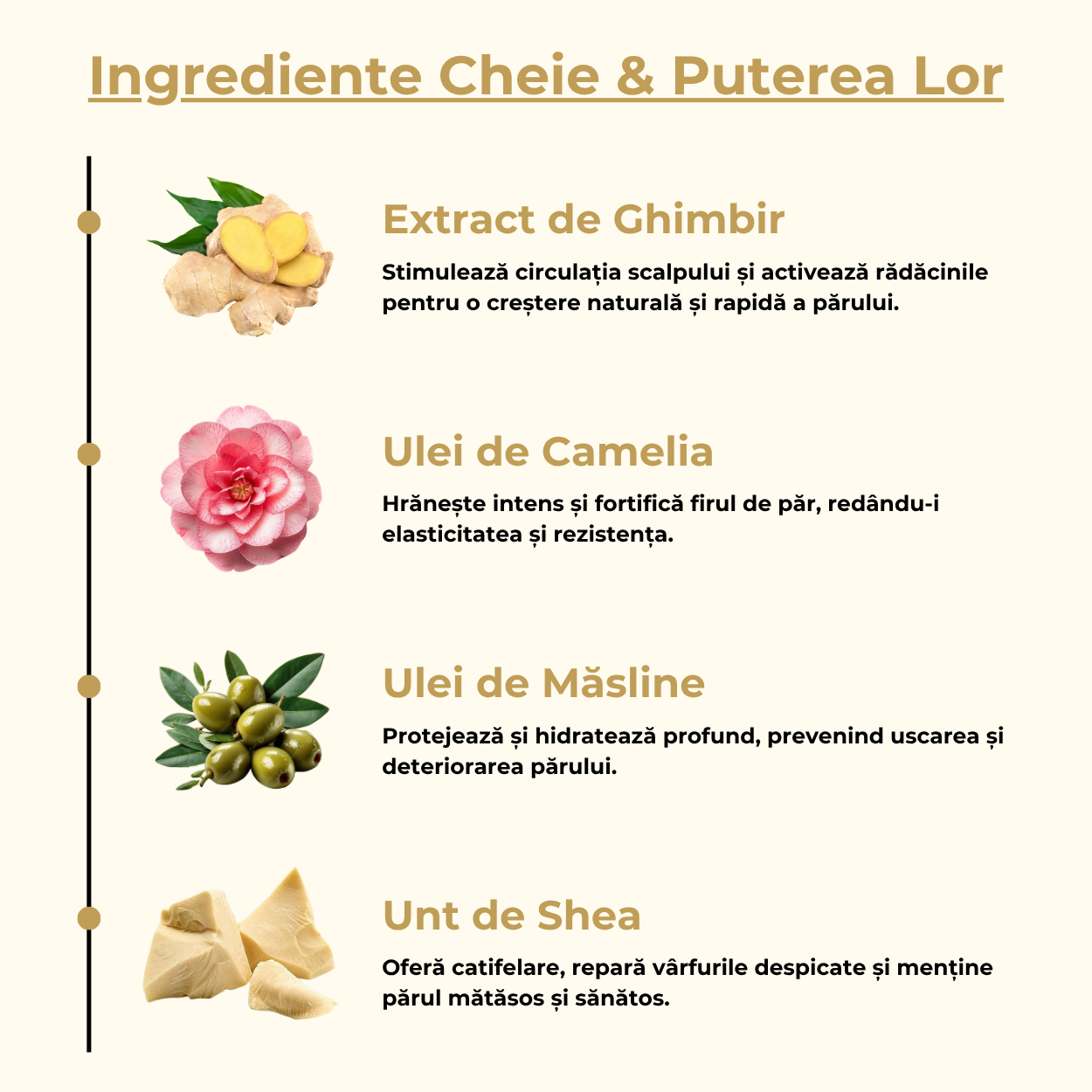 Sampon Organic cu Ghimbir