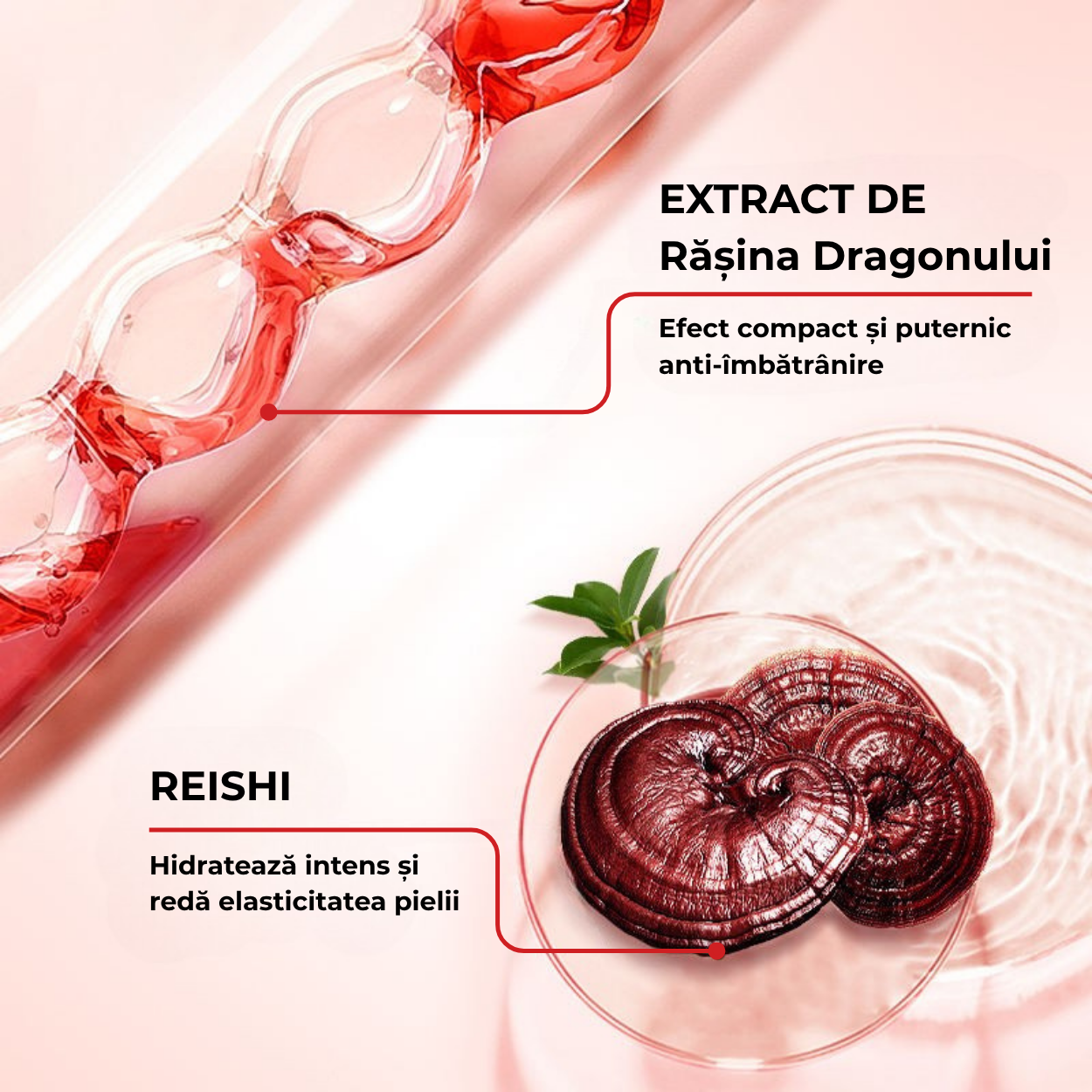 Crema Antirid cu Sange de Dragon